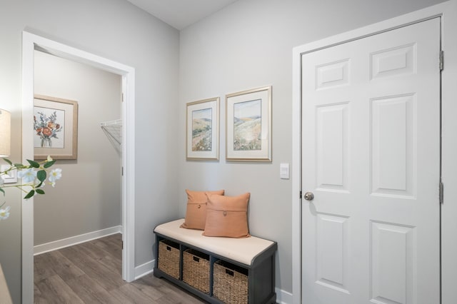 mudroom with hardwood / wood-style floors