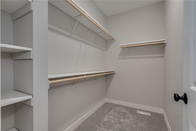 spacious closet with carpet