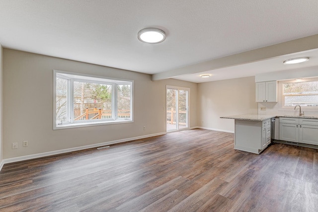 unfurnished living room featuring a wealth of natural light, sink, and dark wood-type flooring