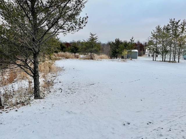 yard covered in snow with a shed