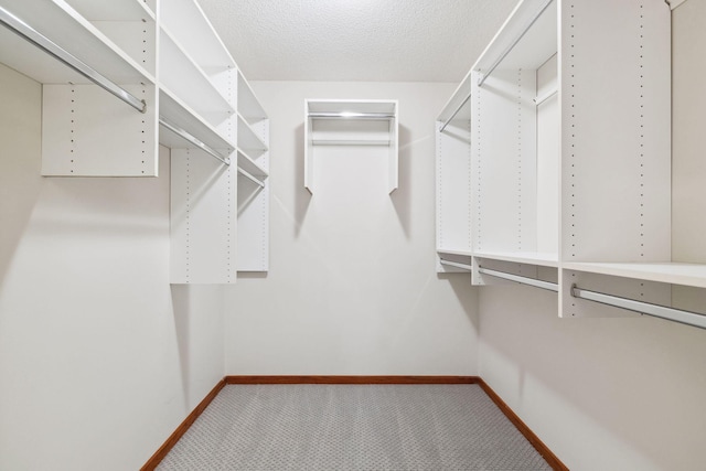 walk in closet with carpet floors