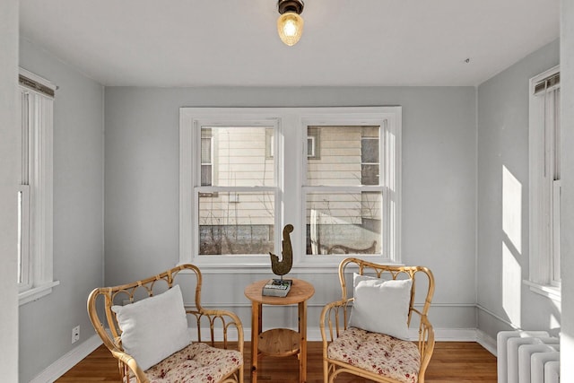 sitting room featuring hardwood / wood-style floors and radiator