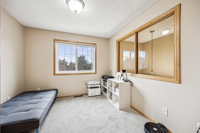 living area featuring carpet and a textured ceiling