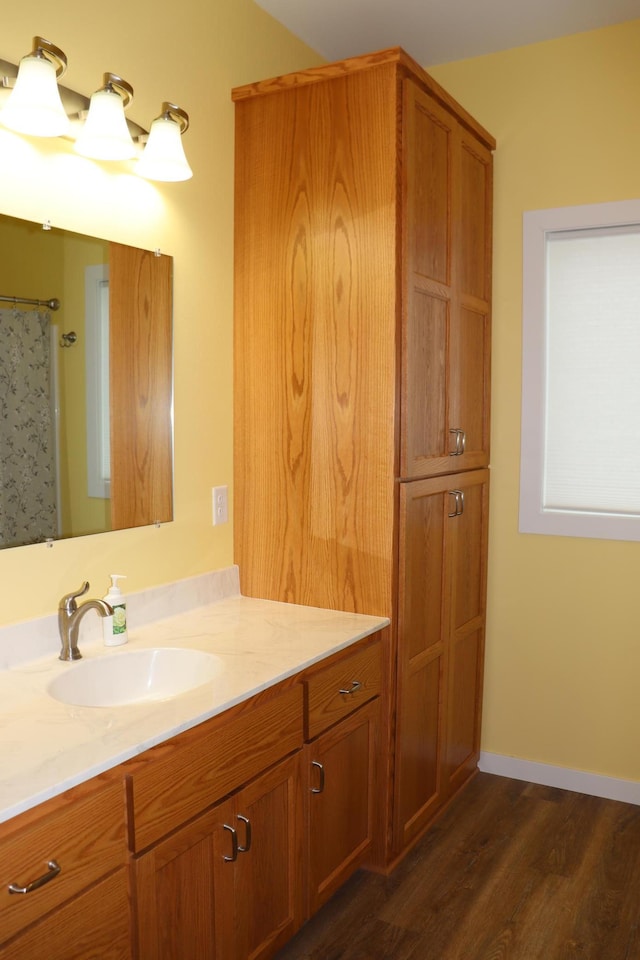 bathroom with hardwood / wood-style floors and vanity