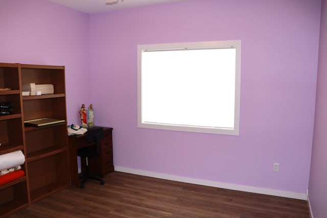 office featuring dark hardwood / wood-style flooring