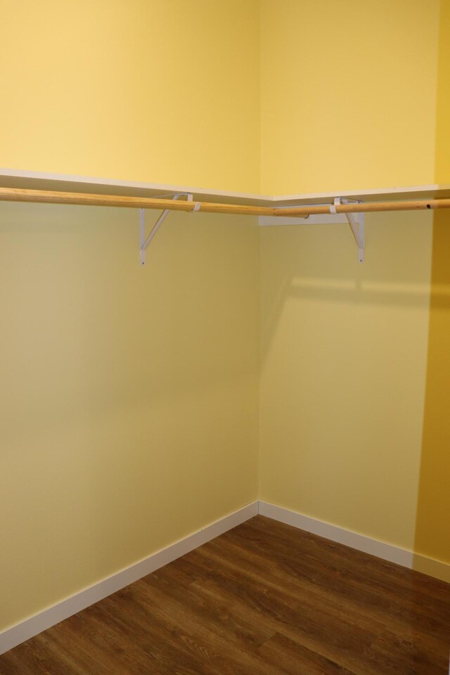 spacious closet featuring dark hardwood / wood-style floors