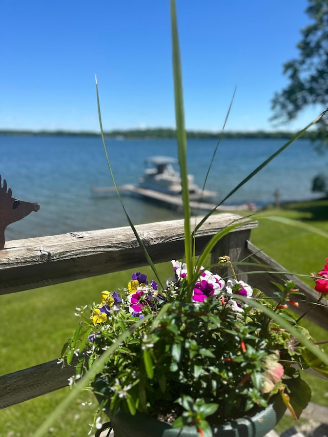 19466 Peninsula Trl, Clitherall Twp, MN 56515 - water view