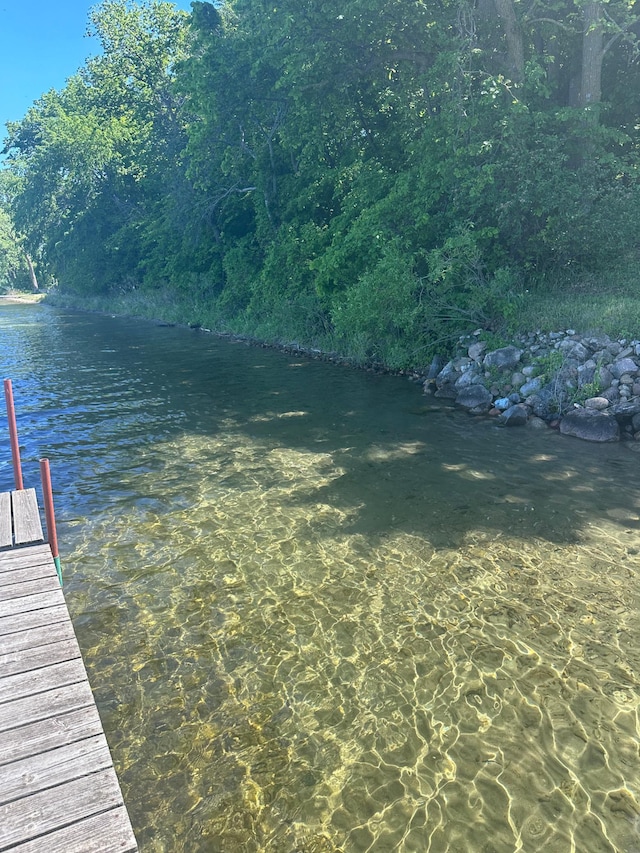 19466 Peninsula Trl, Clitherall Twp, MN 56515 - dock area with a water view