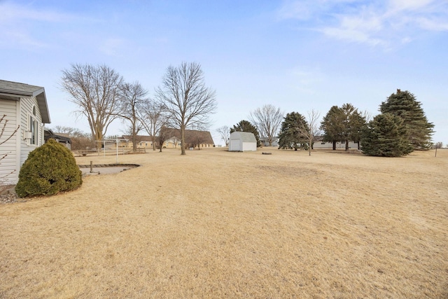 view of yard with a shed and an outbuilding