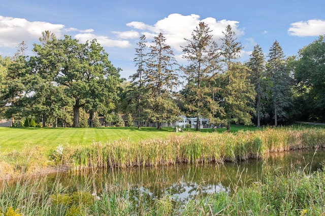 view of landscape featuring a water view