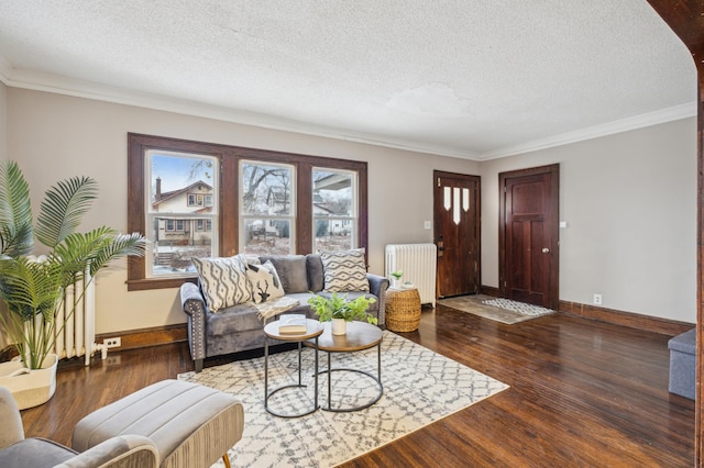 living room featuring dark hardwood / wood-style floors, radiator heating unit, a textured ceiling, and ornamental molding