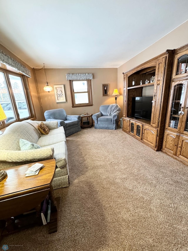 view of carpeted living room