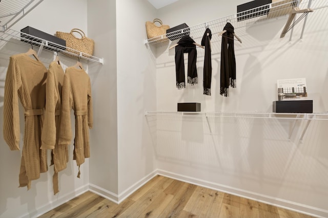 spacious closet with wood-type flooring