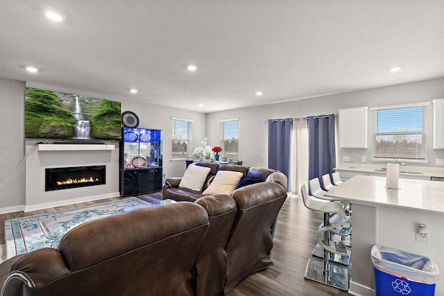 living room with dark hardwood / wood-style flooring and sink