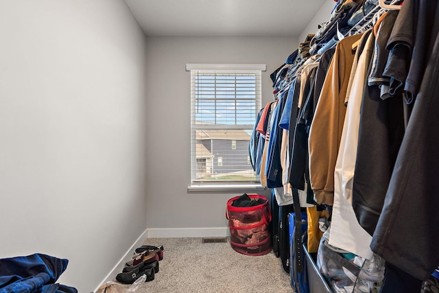 walk in closet with carpet floors