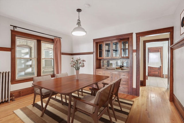 dining area with radiator heating unit and light hardwood / wood-style flooring