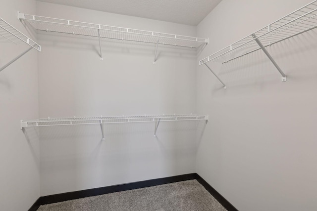 spacious closet with carpet floors