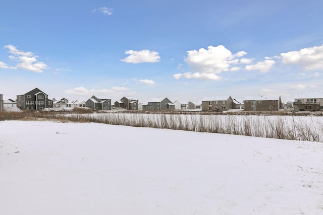 view of yard layered in snow