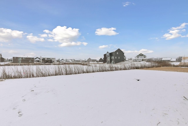 view of yard covered in snow