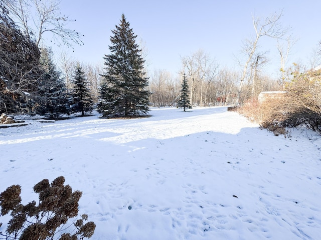 view of yard covered in snow