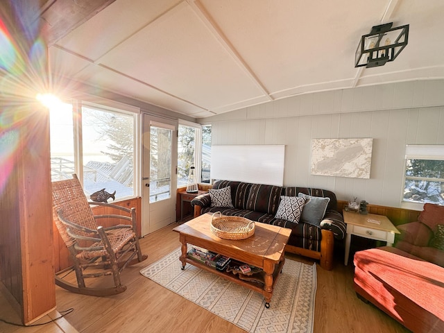 42536 Pleasure Park Rd, Ottertail, MN 56571 - living room featuring wood finished floors and vaulted ceiling