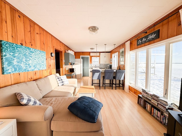 42536 Pleasure Park Rd, Ottertail, MN 56571 - living room featuring wood walls and light wood-style flooring