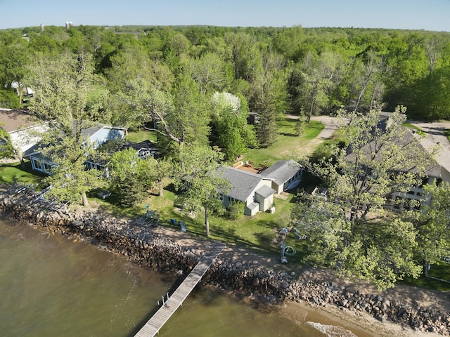 42536 Pleasure Park Rd, Ottertail, MN 56571 - view of subject property with a heavily wooded area and a nearby body of water