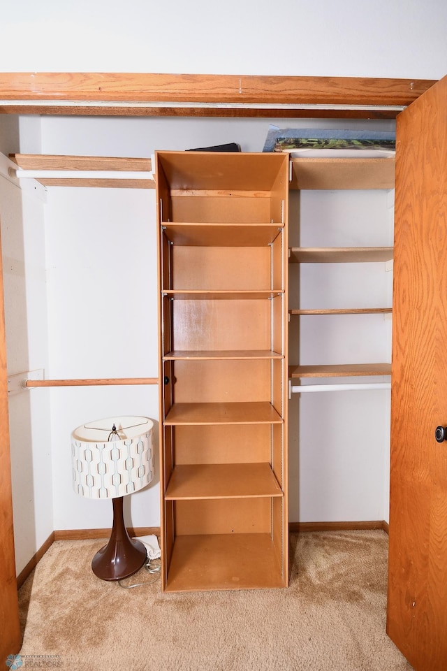 view of closet