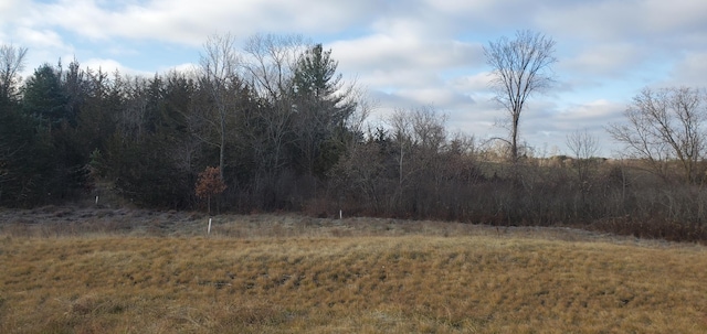 1006 Moon Glow Rd, Hudson, WI 54016