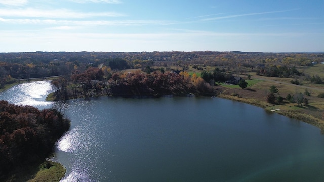 1006 Moon Glow Rd, Hudson, WI 54016
