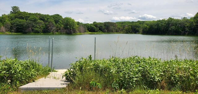 1006 Moon Glow Rd, Hudson, WI 54016