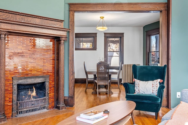 living room featuring radiator heating unit and light wood-type flooring