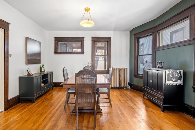 dining room with radiator heating unit and light wood-type flooring