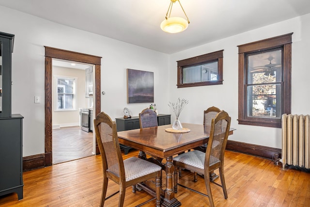 dining space featuring radiator and light wood-type flooring