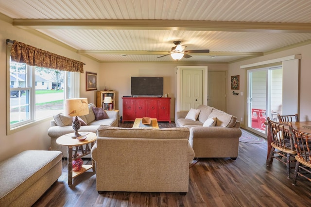 living room featuring ceiling fan, dark hardwood / wood-style flooring, and beamed ceiling