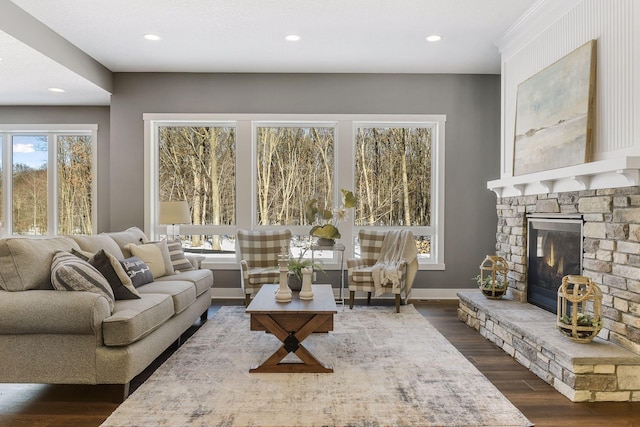 living room with a stone fireplace, plenty of natural light, and dark wood-type flooring