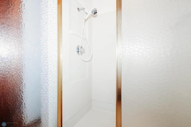 bathroom featuring a shower with shower door