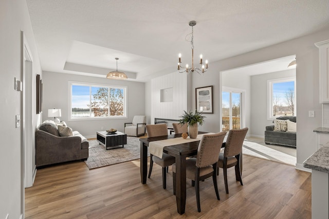 dining room featuring a notable chandelier, a wealth of natural light, and light hardwood / wood-style flooring