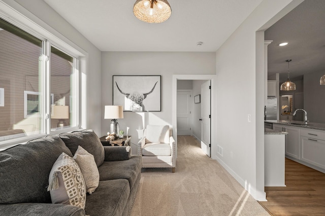 living room featuring light hardwood / wood-style floors and sink