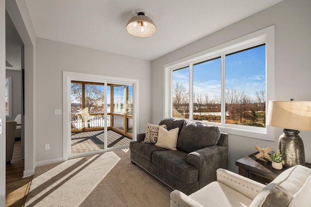 living room with a wealth of natural light and hardwood / wood-style flooring