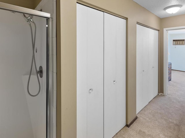 interior space with a shower with door and carpet