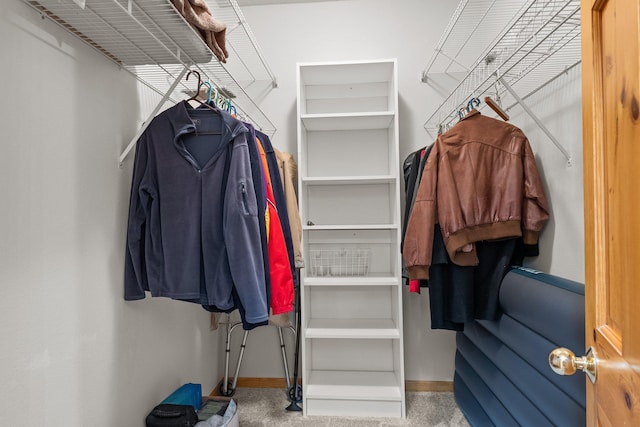 view of spacious closet