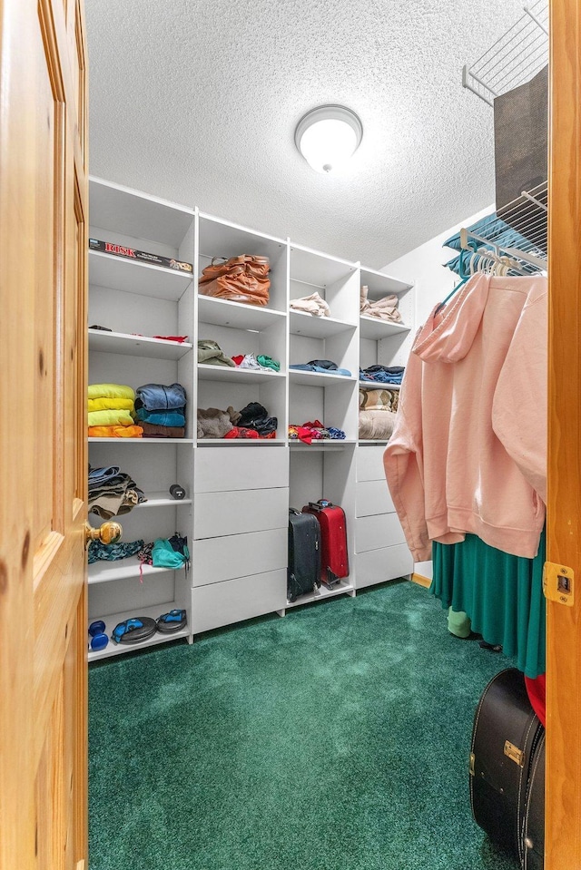 walk in closet with carpet flooring