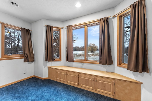 interior space with a textured ceiling and dark carpet