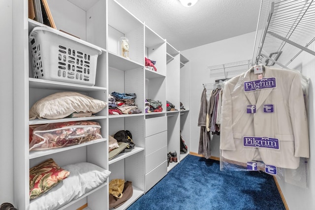 walk in closet featuring carpet flooring