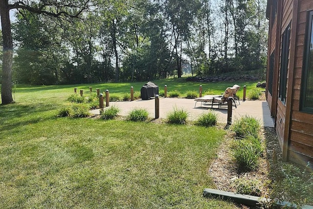 view of yard featuring a patio