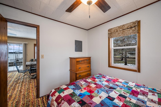 bedroom featuring ceiling fan and electric panel