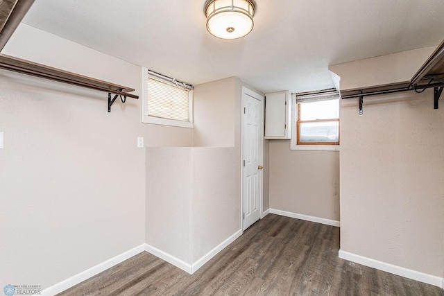 spacious closet with dark hardwood / wood-style floors