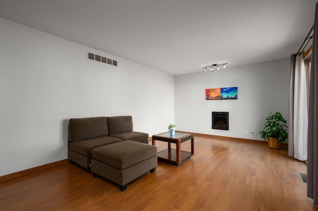 living room featuring wood-type flooring