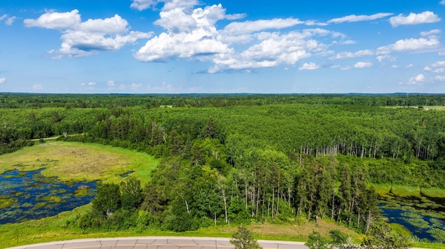 TBD 240th St, Akeley, MN 56433 - photo 6